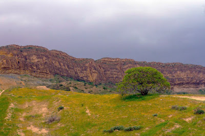 The mountains and green foothills around Kalate Naderi.