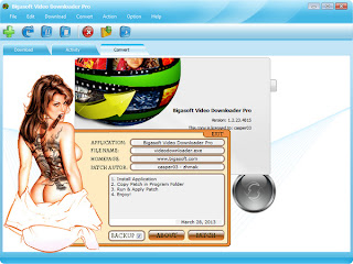 Bigasoft Video Downloader Pro 1.2.23.4815 Incl Patch