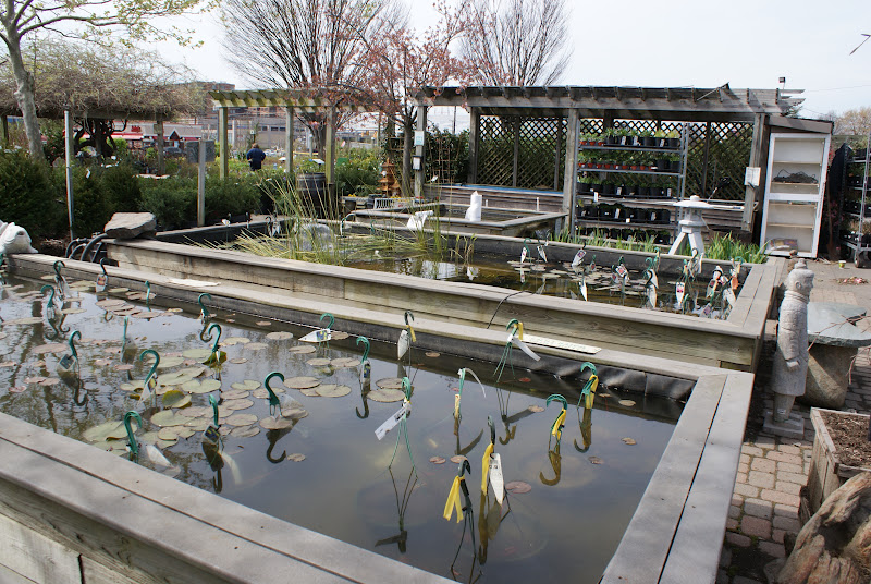 Day By Day Merrifield Garden Center