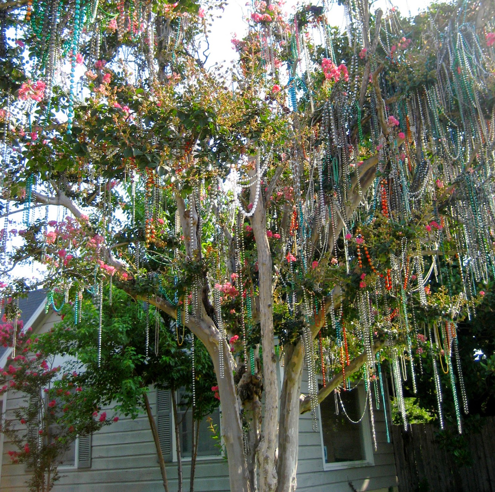 a mardi gras tree