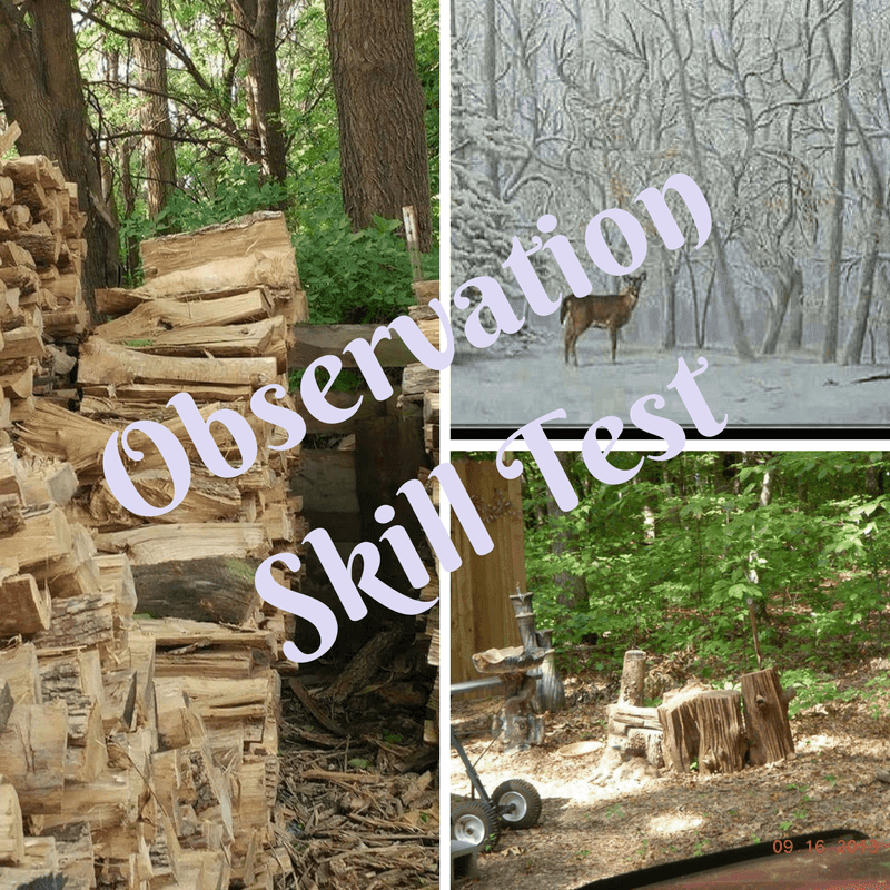 Fun Puzzles to Test Your Observation Skills