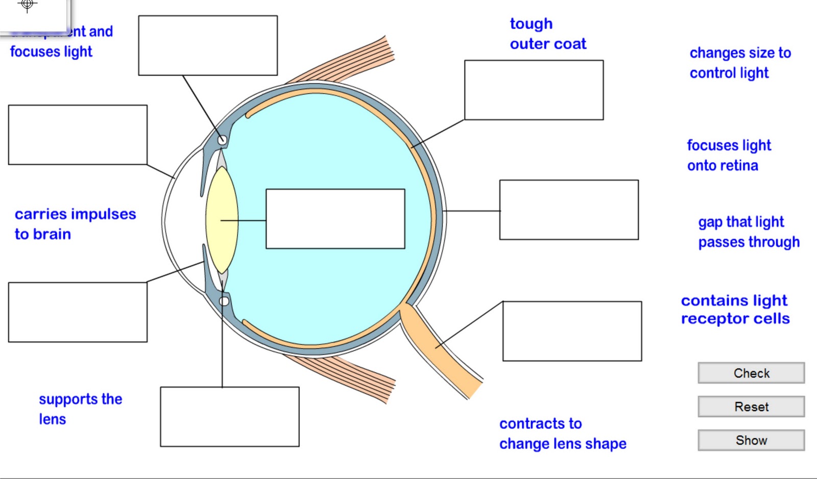 Aryaldora'blog Tugas Sistem Indera