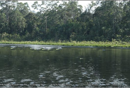 6 Tempat Wisata Tercantik Dan Indah Di Kabupaten Kepulauan Meranti