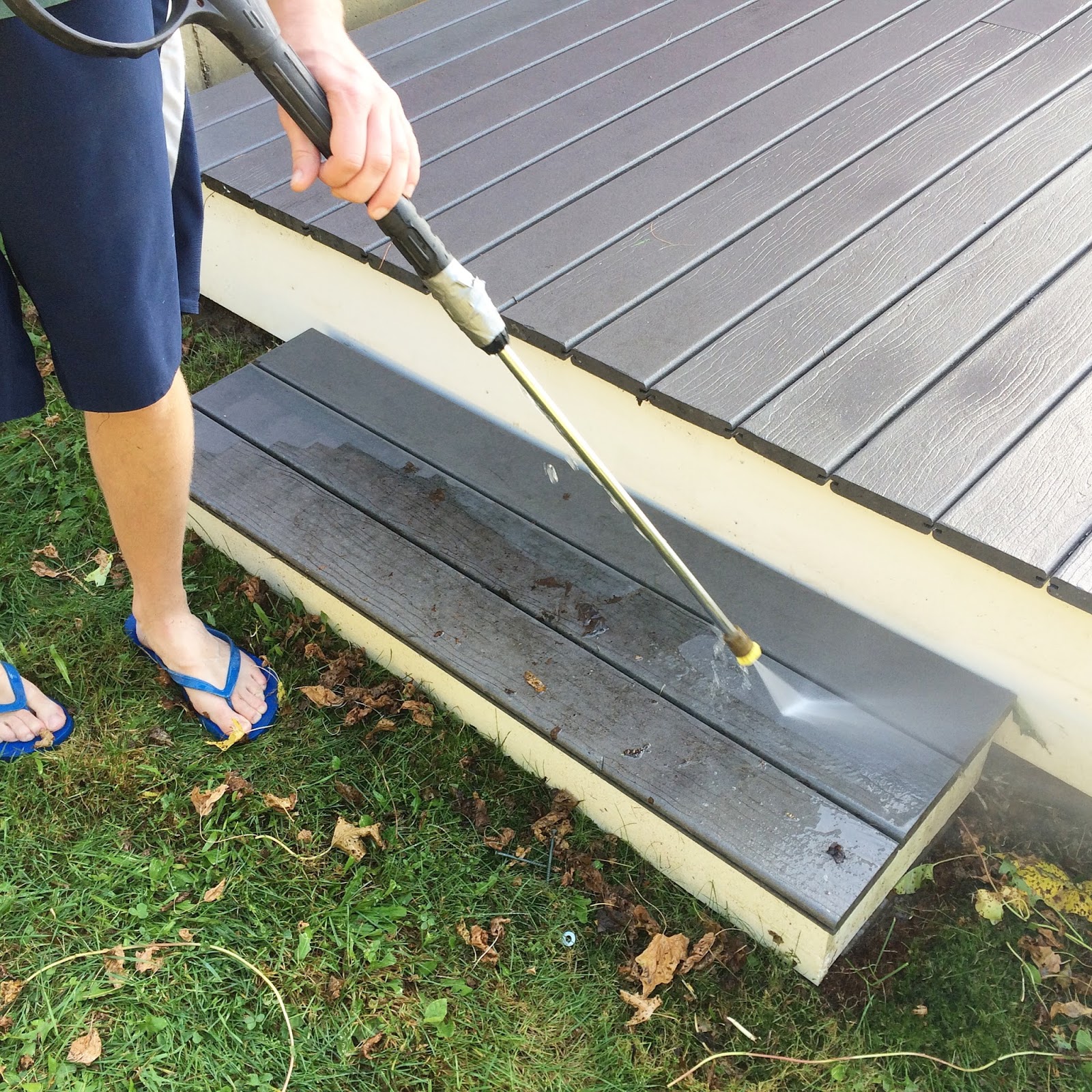 The Hobson Homestead A good powerwash, and vine removal!