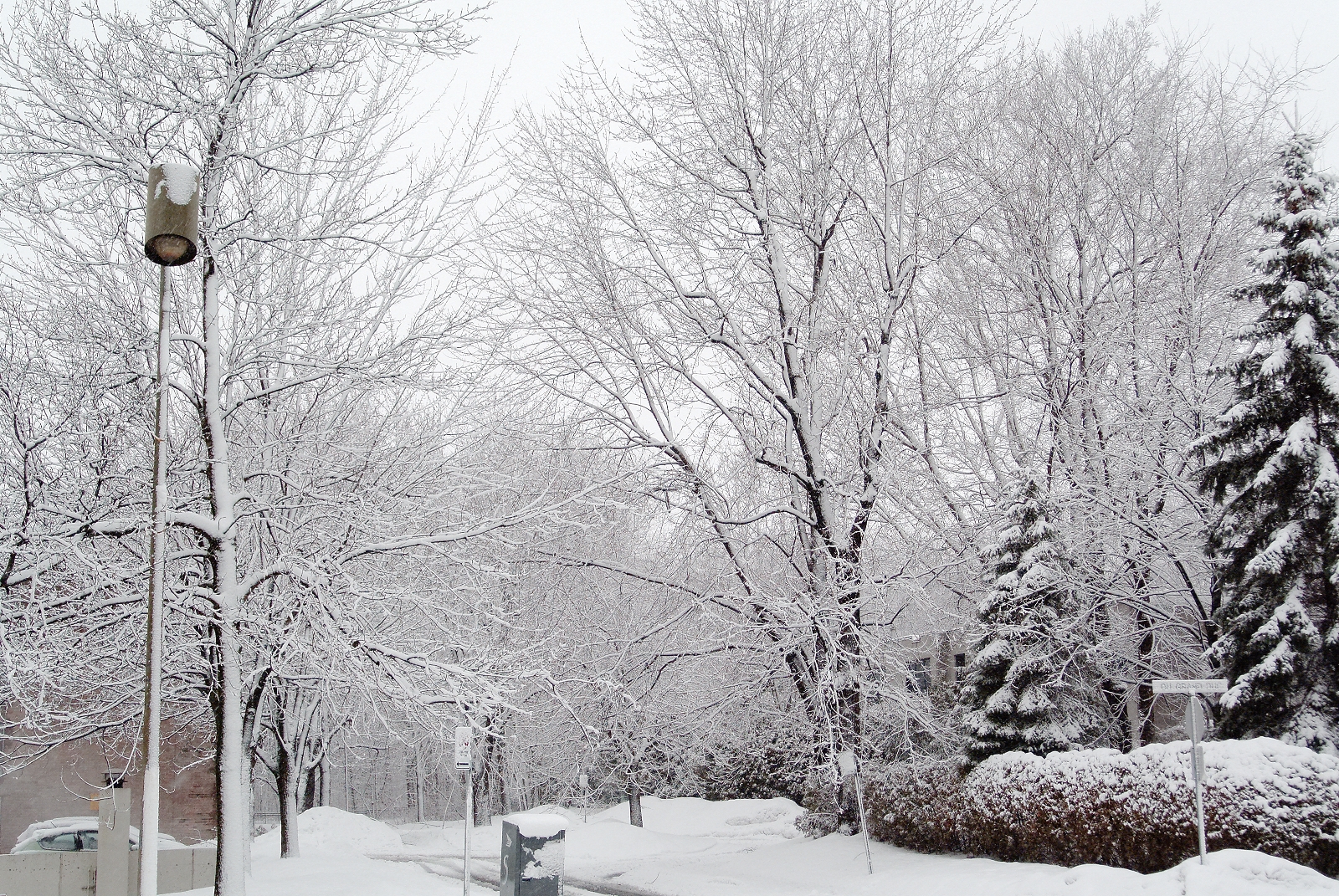 Падает снег 2007. Фото падающего снега красивые. Фото падающего снега красивые из окна. Падает снег в городе Вологда фото. Фото падающего снега в конце зимы.