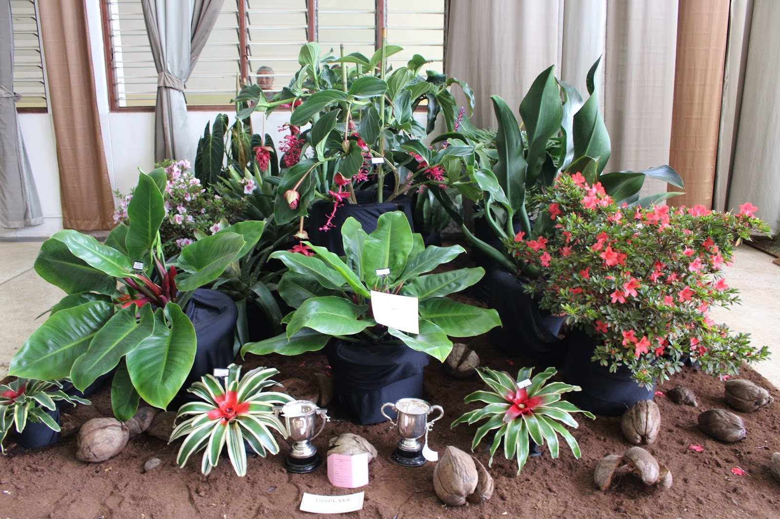 Kenyan Arts Review KENYA HORTICULTURE SOCIETY'S GARDEN SHOW IS OVER