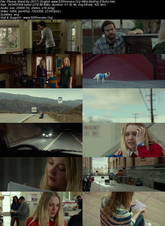 Please Stand By (2017) English 480p BluRay