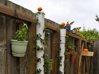 Low-Cost Gardening Projects With PVC Pipes