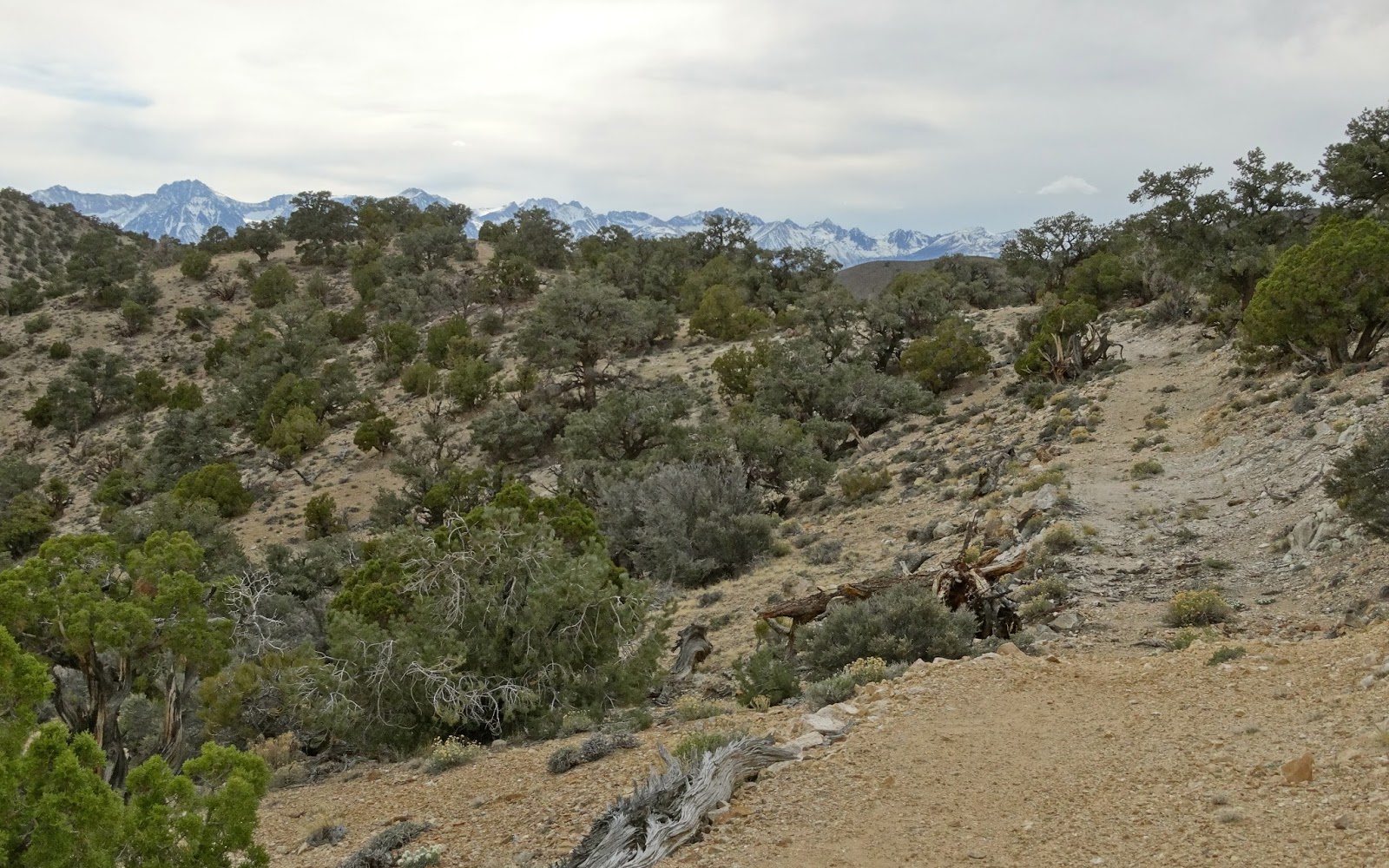 Our Four Wheel Camper Across Deadman Flat Inyo National Forest "a scary way to go to work"