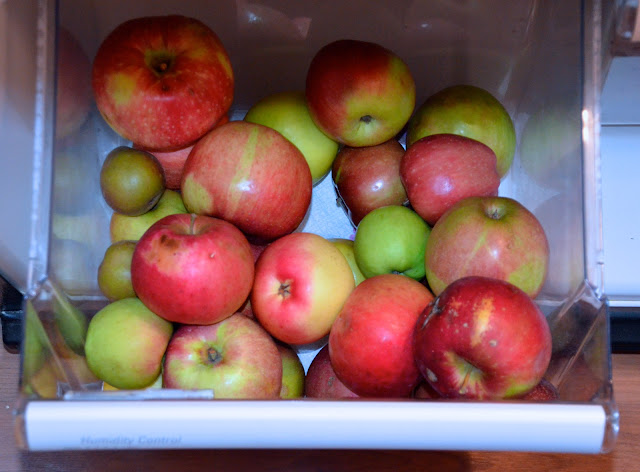 Apples in fridge