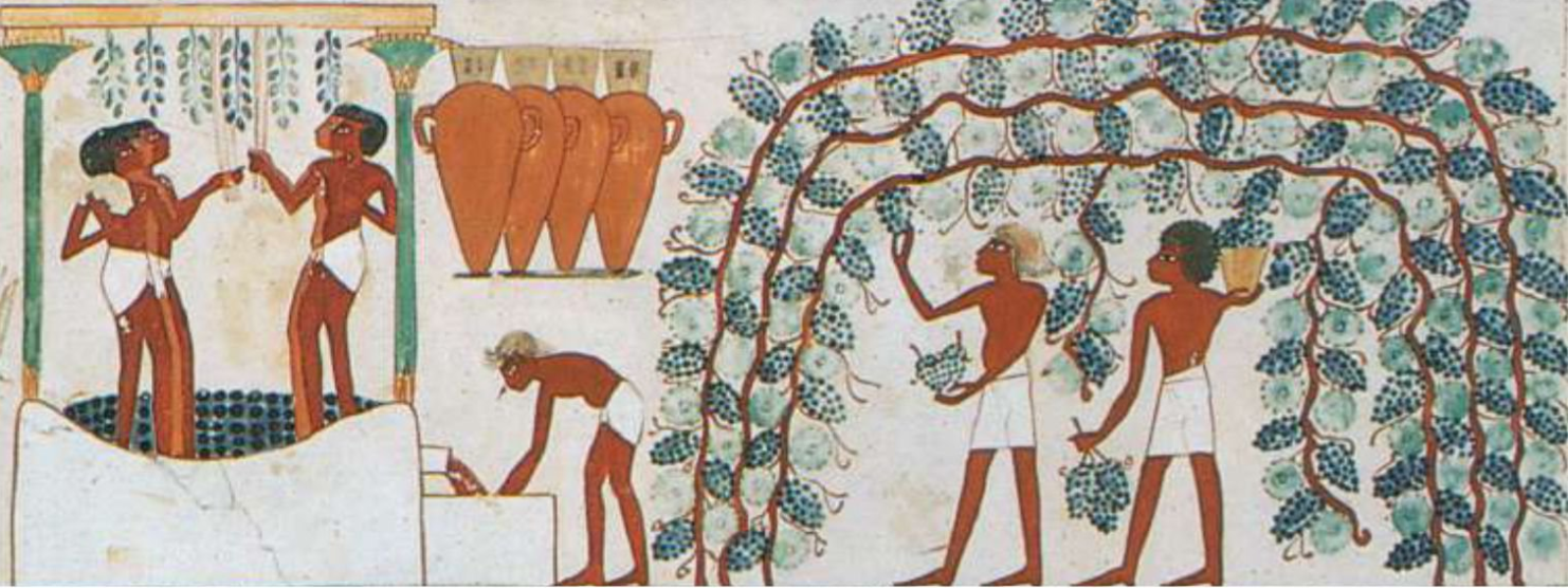Mare Nostrum News Wine in Ancient Egypt