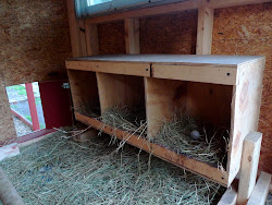 cotton trailer chicken coop 8