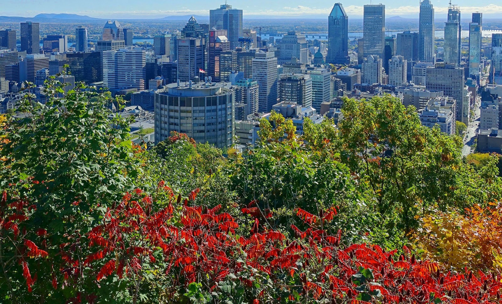 Travel & Adventures Montréal ( initially VilleMarie ). A voyage to Montreal, Province of