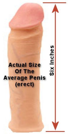 What Average Penis Size 15