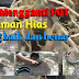 Tips Penggantian Pot untuk Tanaman Hias Tips Penggantian Pot untuk Tanaman Hias