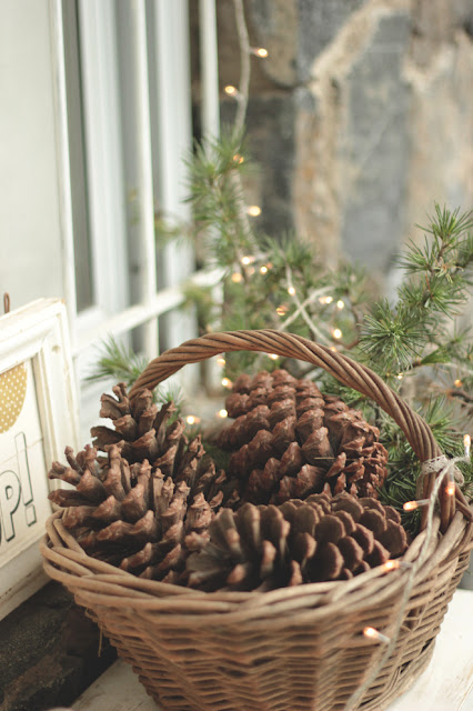 Mi Casita en el Bosque: Navidad en el Bosque (primera parte)