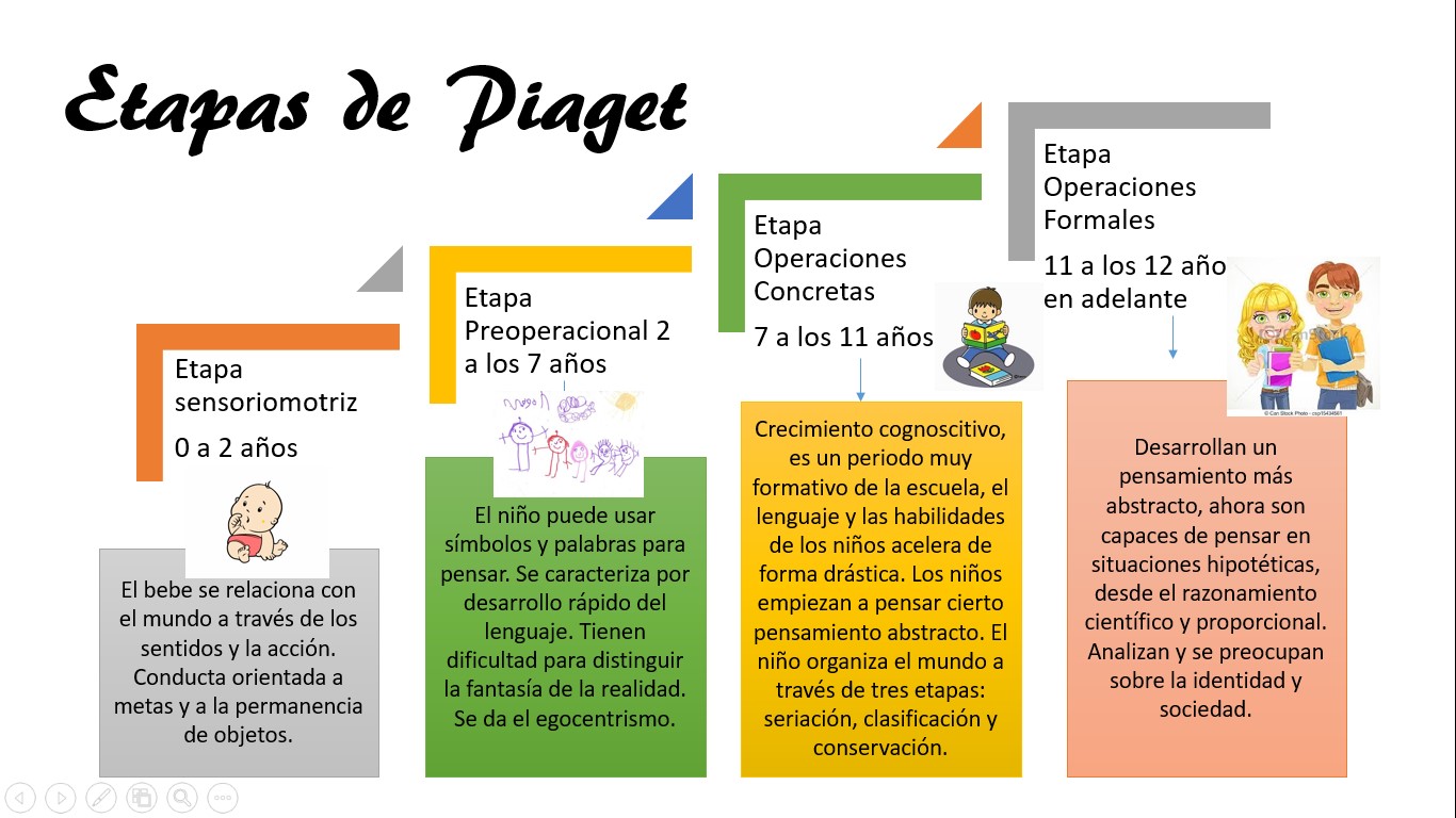 Etapas De La Teoria De Piaget ️ Mentalidad Humana 7521