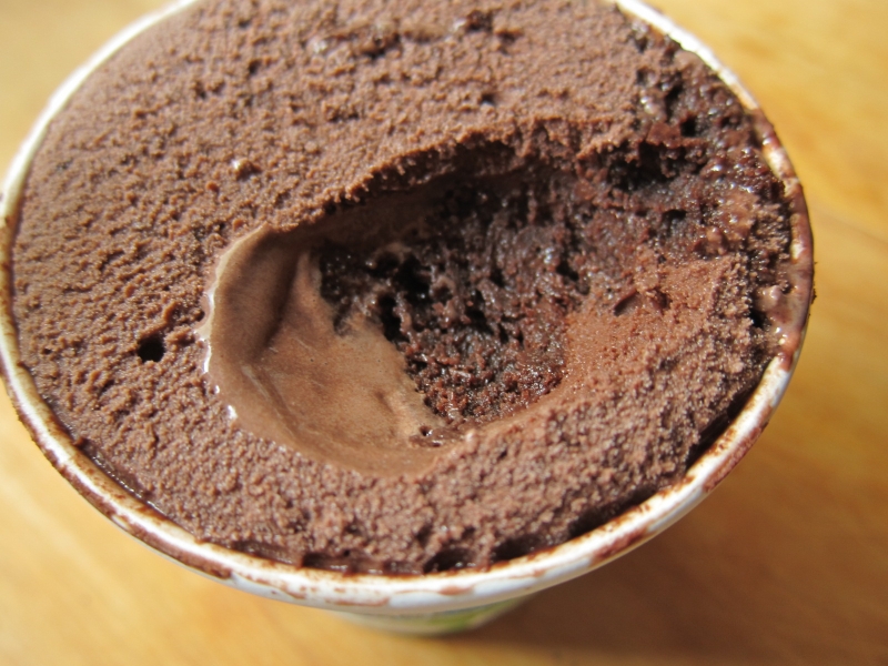 Frozen Friday Ben & Jerry's Chocolate Fudge Brownie Ice Cream