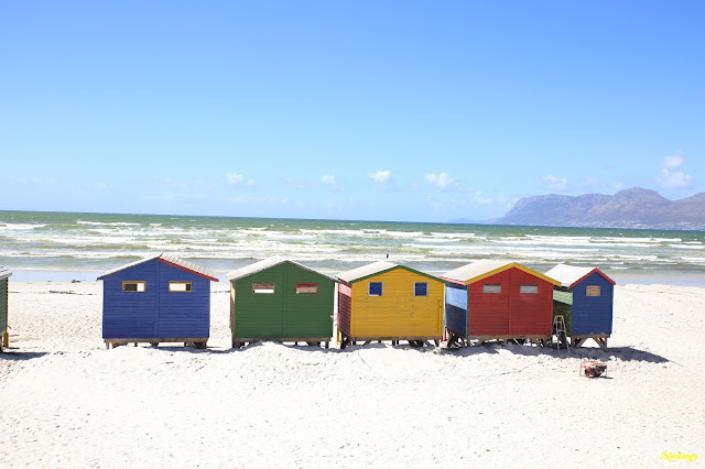 Ciudad del Cabo y Garden Route - Blogs de Sudáfrica - 21-11-18. Península del Cabo. (2)