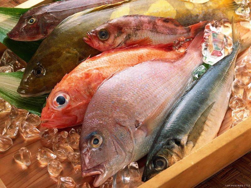 Manfaat Ikan Konsumsi untuk Kesehatan Tubuh Kita Manfaat Ikan Konsumsi untuk Kesehatan Tubuh Kita