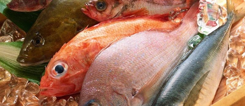 Manfaat Ikan Konsumsi untuk Kesehatan Tubuh Kita