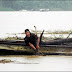 Phú Thọ: Dân liều mình kéo gỗ trên dòng nước xiết