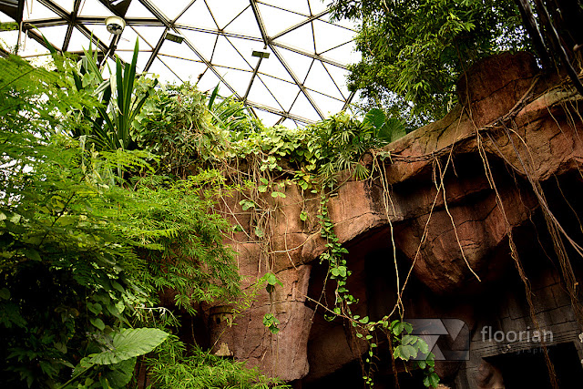 Dania - Randers Regnskov Tropical Zoo z dzieckiem