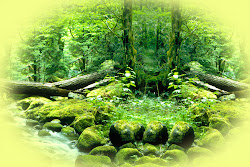 Background Design Nature 2