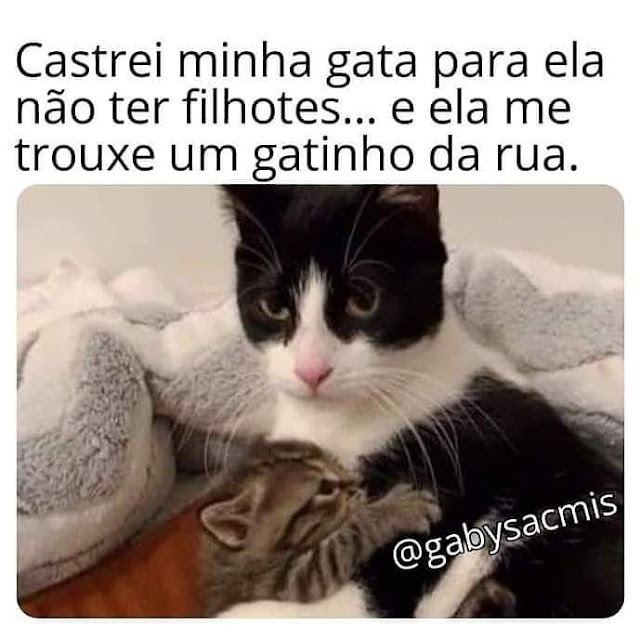 Memes engraçados Memes engraçados