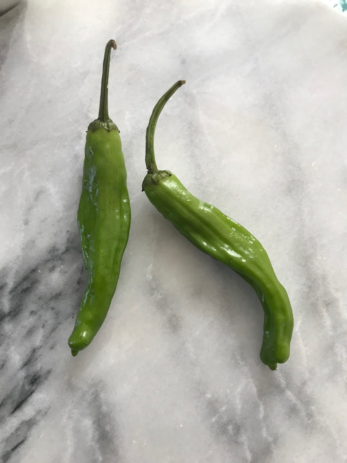 Stuffed Shishito Peppers For a Healthy Lifestyle Veggibites