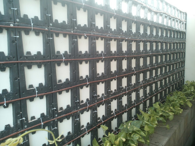 Đại lý cung cấp hộp trồng cây trên tường. - 4