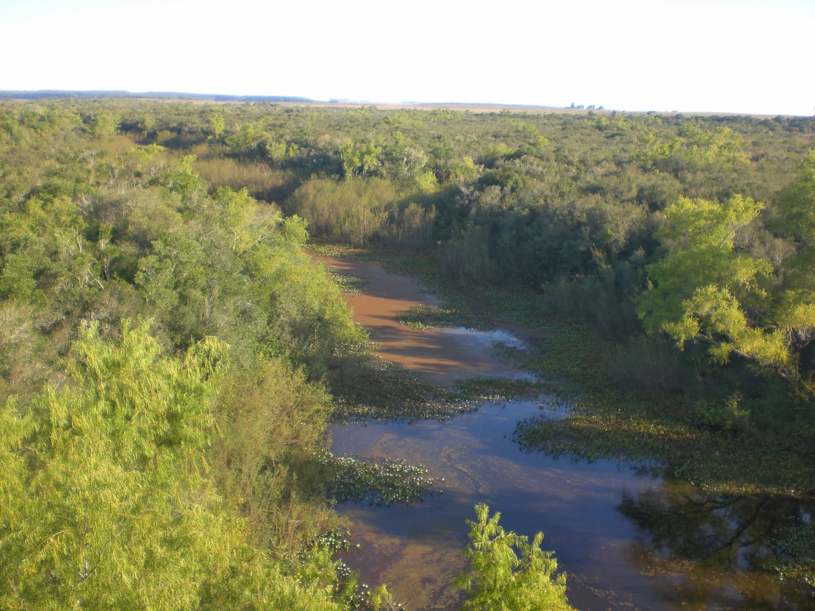 Fue una obra gigantesca varias veces millonaria en dólares