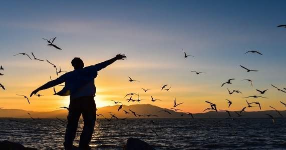 Izreke i citati o slobodi sa slikama Citati i Izreke sa