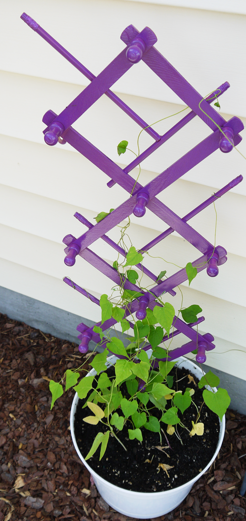 15 Inspiring DIY Garden Trellis Plans,Designs And Ideas Do it