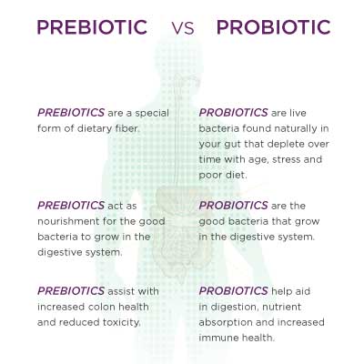 Which Probiotics Are Best For Dogs Which Probiotics Are Best For Dogs
