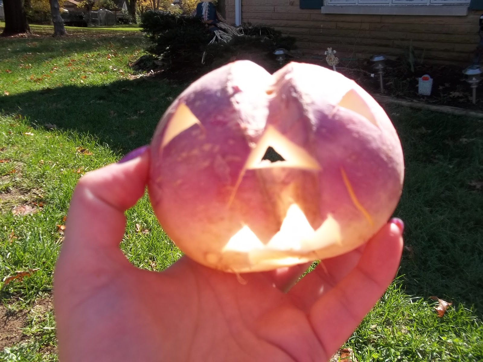 Halloween Turnip? Why do we carve JackOlanterns and How to Carve a