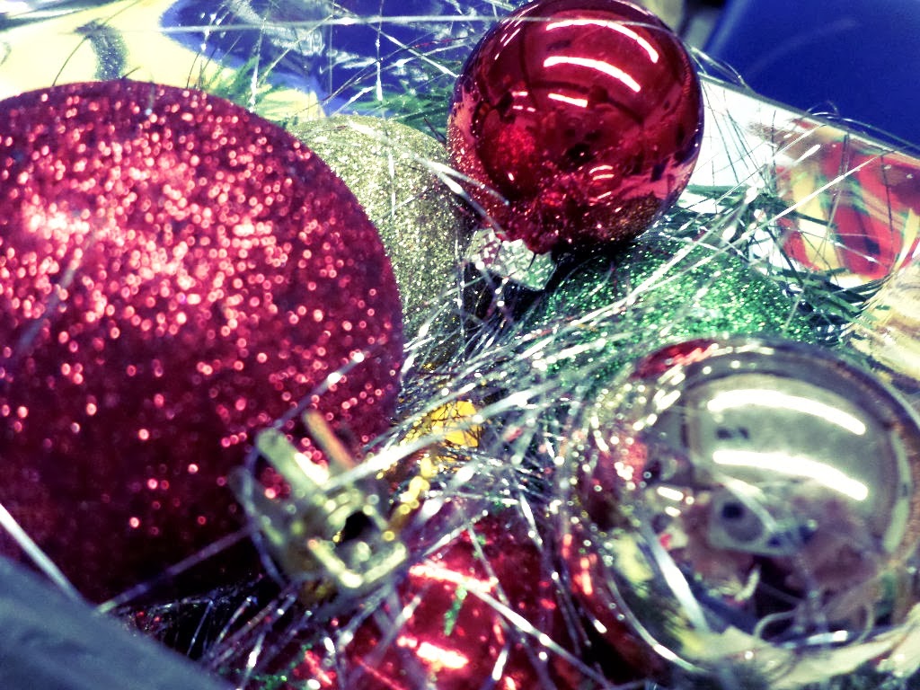 Books, Roses and Wine Oh my! Photo a Day Challenge December