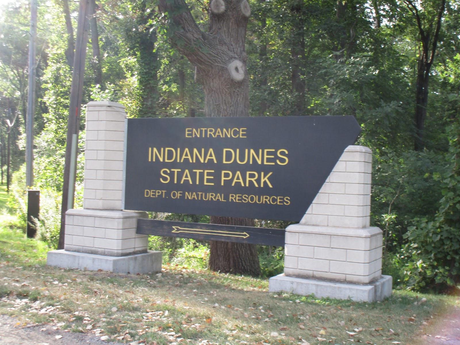 murray-candace-s-adventures-indiana-dunes-state-park