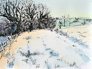 Ink and watercolour frosty