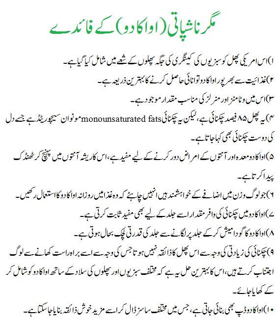 Food Recipes In Urdu Language Food Recipes In Urdu Language