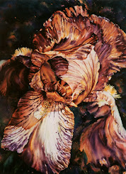 Bearded Iris #1