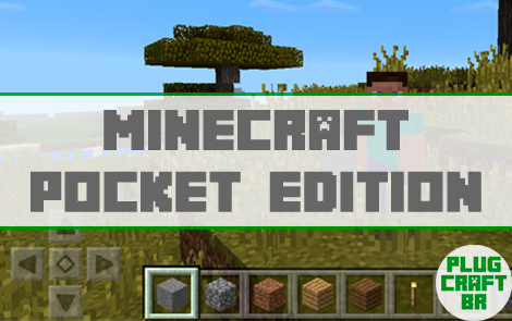 Plug Craft BR - Download do Minecraft Pocket Edition