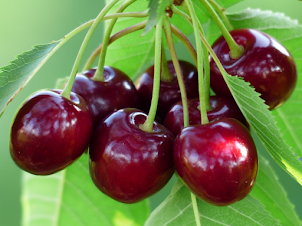 Pulpa Natural de Cereza+Mix de Berries 100% Natural sin Conservantes y Congelada