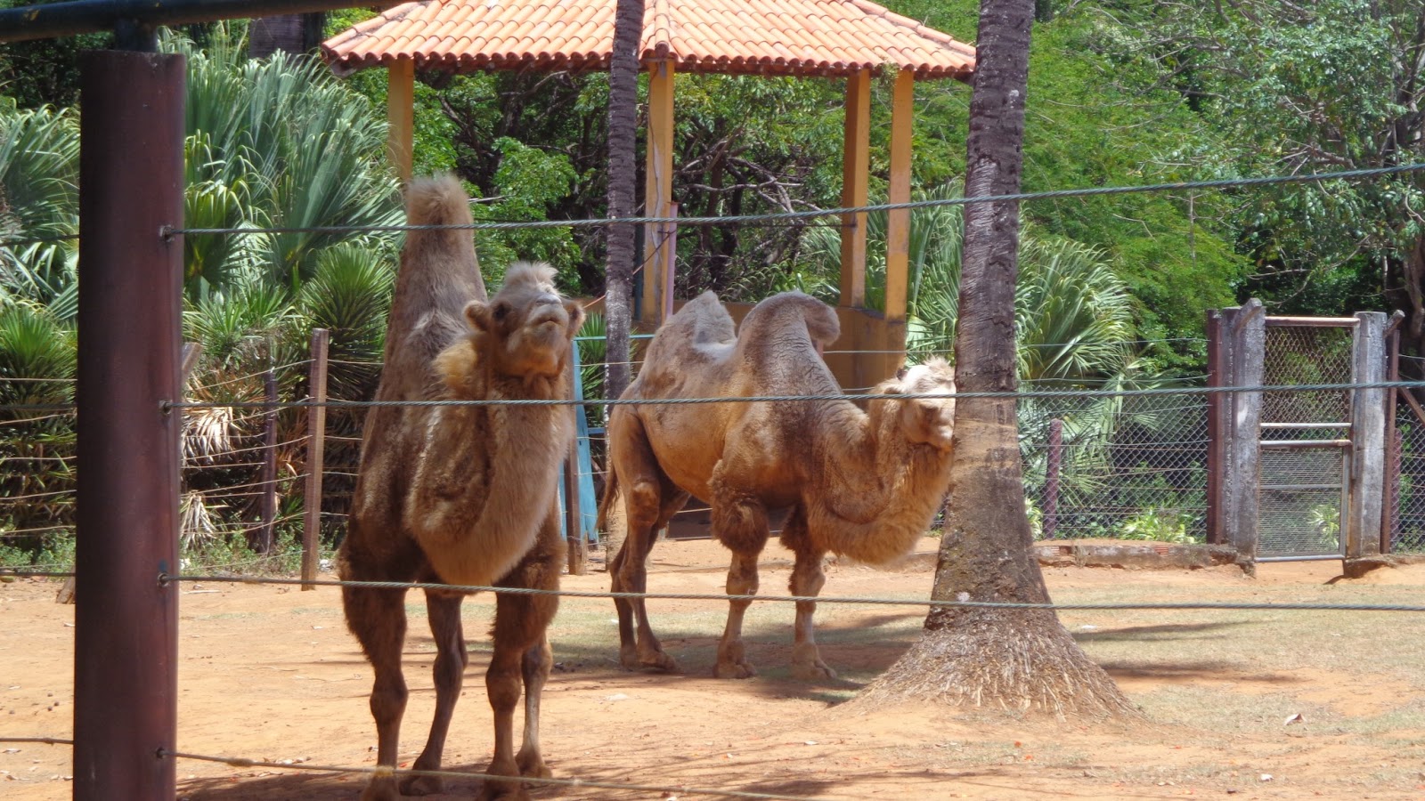 Mundo Verde Zoológico de Salvador