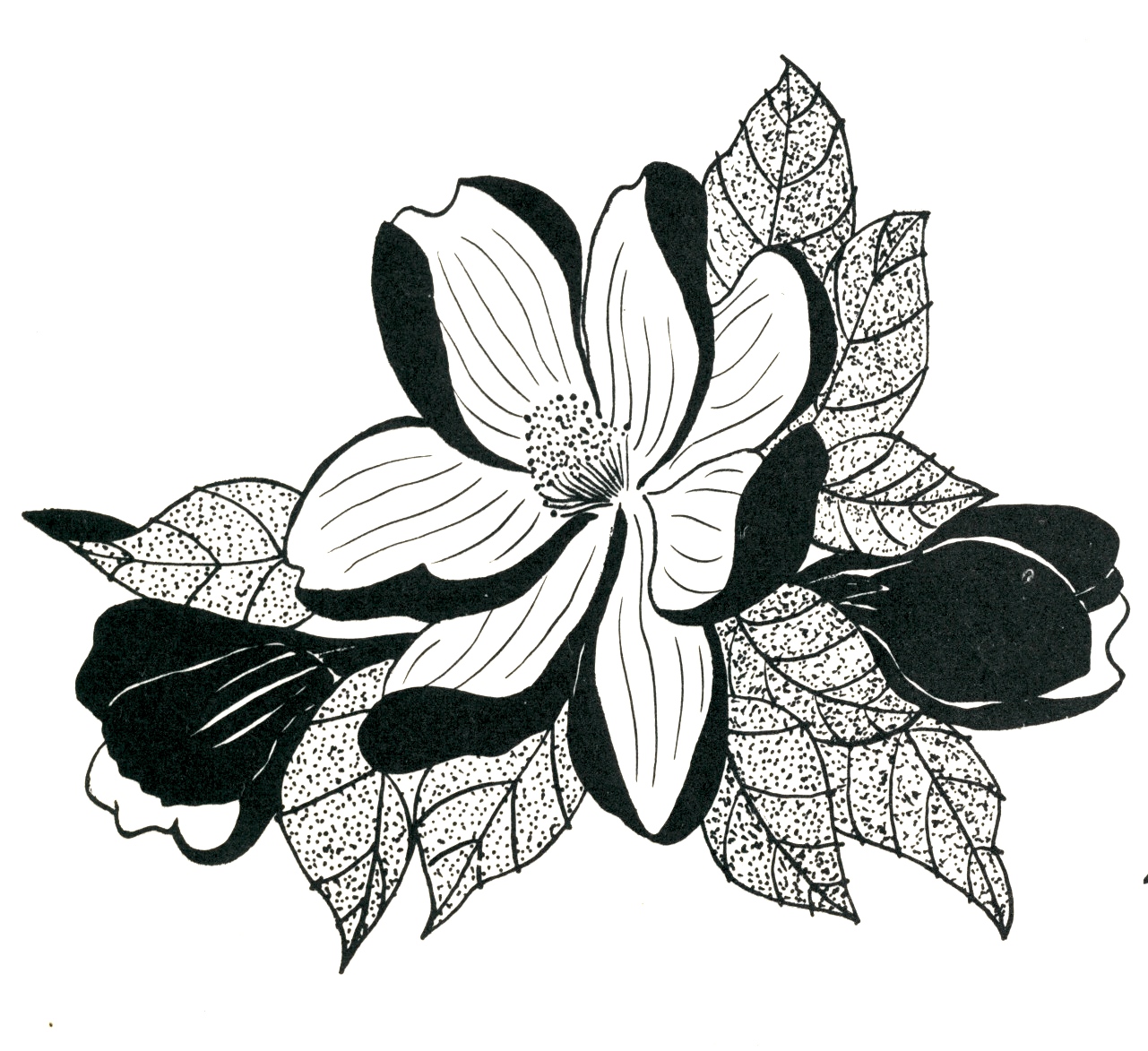 94+ Flower Easy Embroidery Designs Drawing PNG Pictures