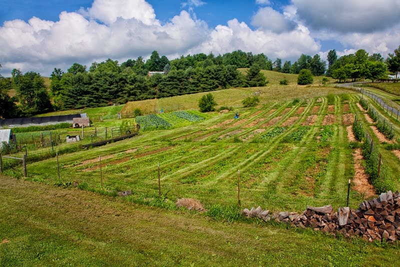 Homestead Hill Farm: I Owe a Lot to Alternative Ag