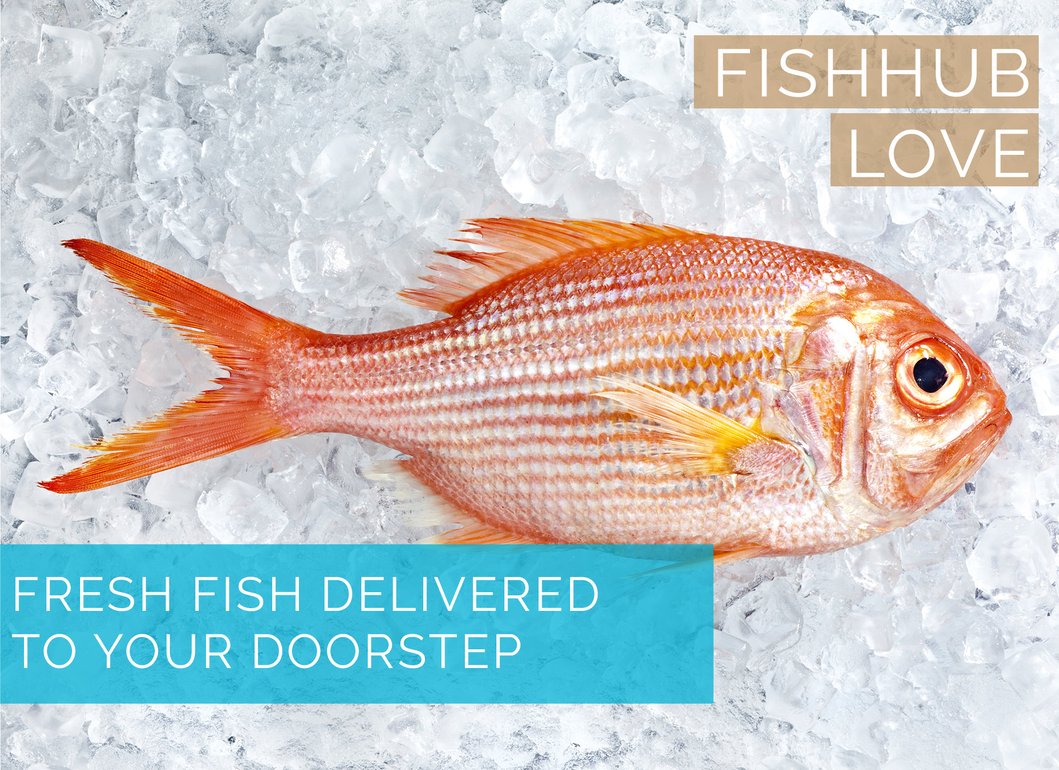 The Abu Dhabi Fish Market Shell Fish in Abu Dhabi