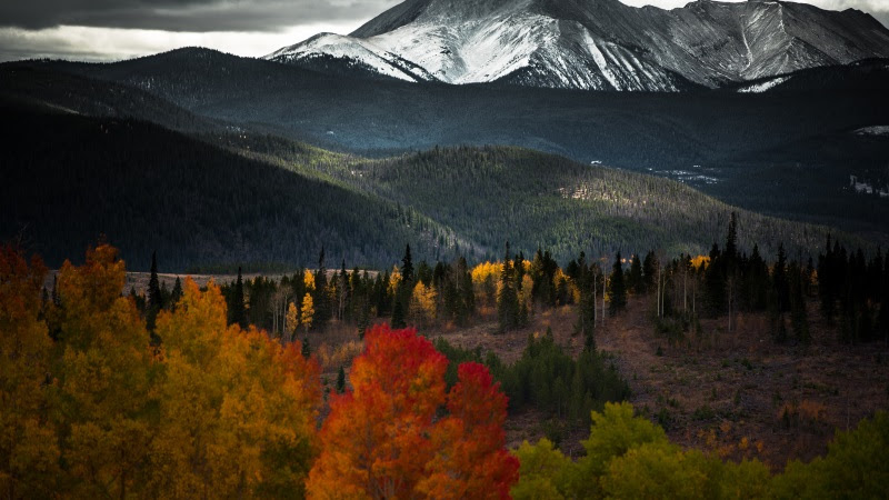 Forest in Autumn. Snow on Mountain 2