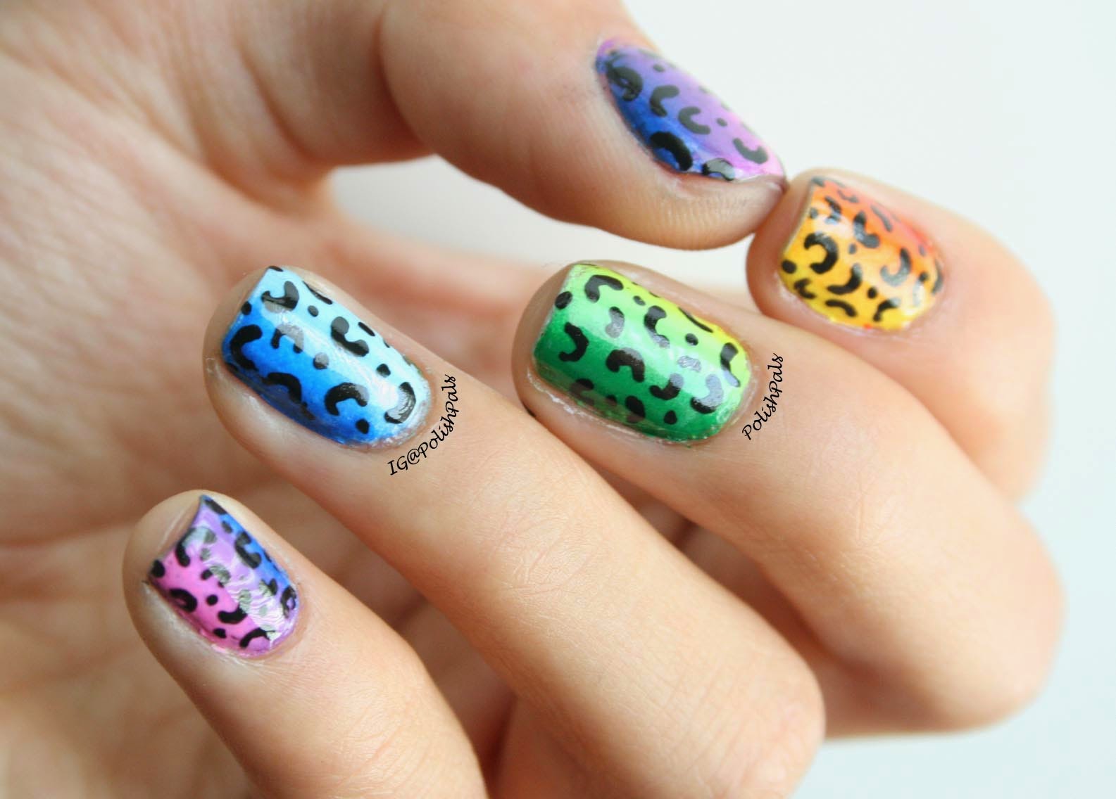 Polish Pals: Rainbow Leopard Print Nails