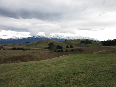 Península de Kaikoura, en Nueva Zelanda Península de Kaikoura, en Nueva Zelanda